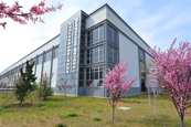 CRRC Sifang at a Glance