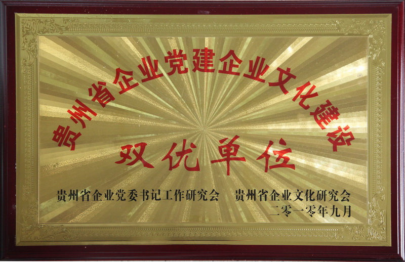 贵州省企业党建pg问鼎建设双优单位