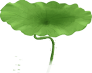 1597113550965406.png 640-2.png